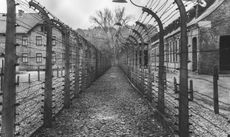 Holocaust Memorial Day – you can access free online learning for children