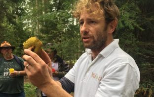 “I gave up the rat race to become a forager”