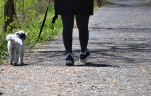 When is a walk not just a walk? When you follow our expert tips to get the maximum health benefits from your daily stroll.